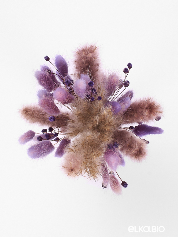 Сухоцветы для декора набор в нежных тонах М310