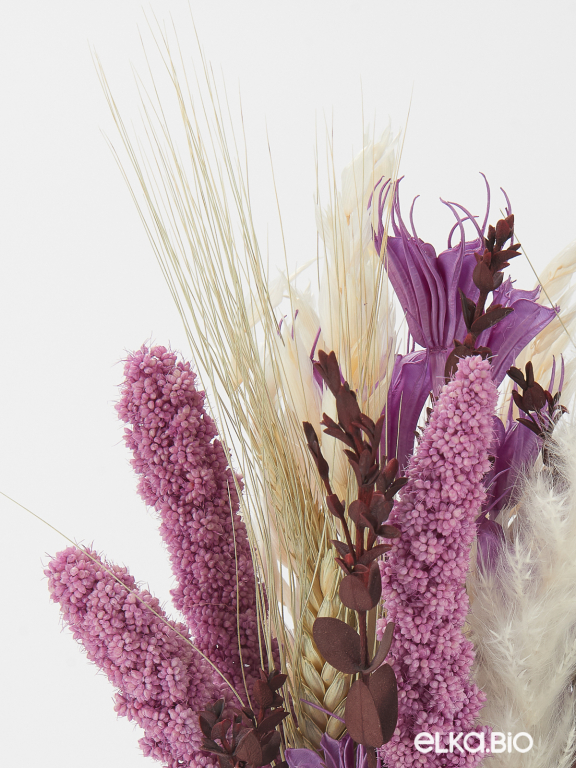 Сухоцветы для декора в наборе М317 Сухоцветы для декора в наборе М317