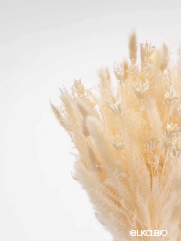 Сухоцветы для декора микс. Набор М073