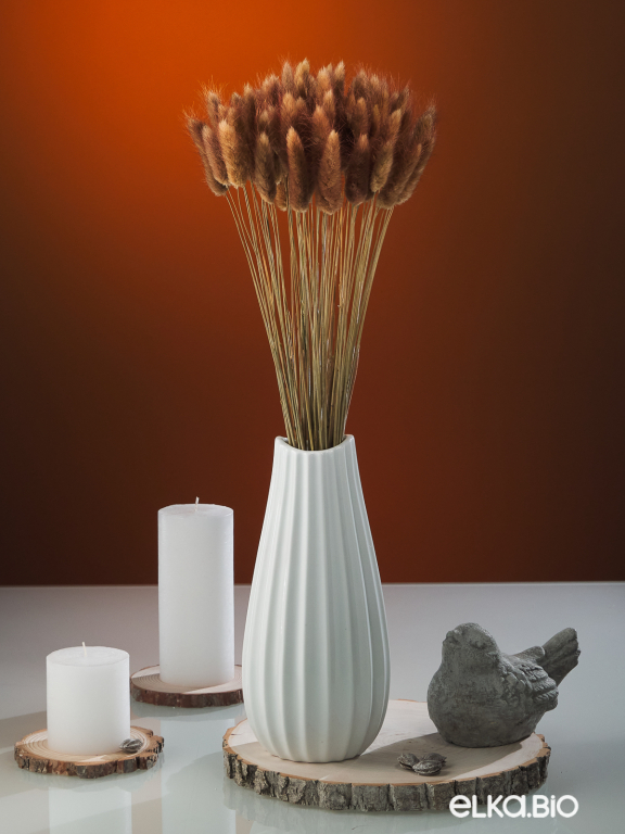 Лагурус шоколадный высший сорт - 60 шт Лагурус шоколадный высший сорт - 60 шт