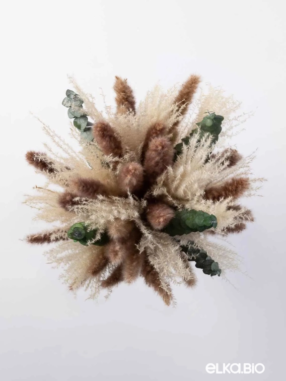 Эвкалипт, пампас мини и мискантус в наборе для декора. Набор М098