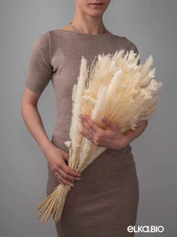 Сухоцветы для декора микс. Набор М073