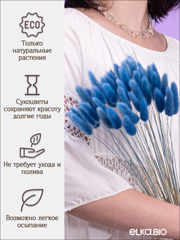 Лагурус синий 60 шт. Высший сорт. Высота 25-35 см М236