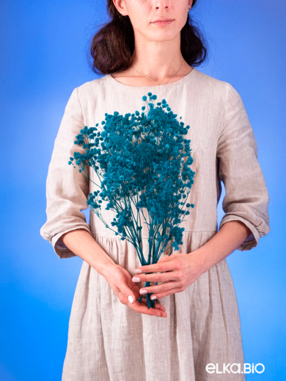 Гипсофила ярко-бирюзовая 50г.  Высший сорт - стабилизированная М627