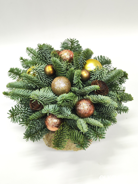 Новогодняя композиция из Нобилиса Шоколадная мечта мини Ю49-В713