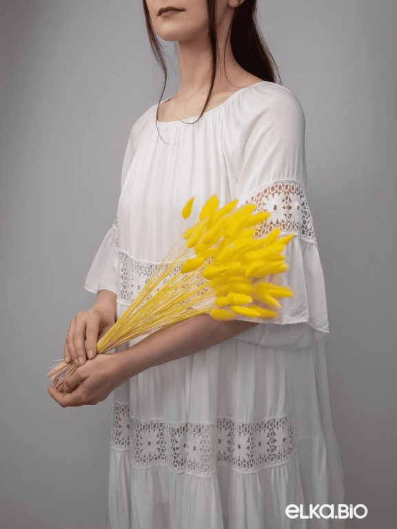 Лагурус желтый высший сорт - 60 шт Лагурус желтый высший сорт - 60 шт