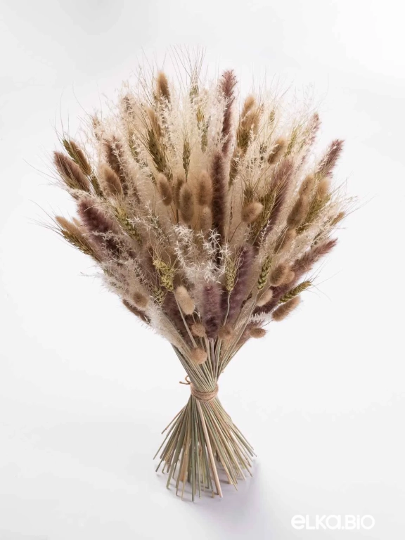 Натуральные сухоцветы для декора. Набор М060