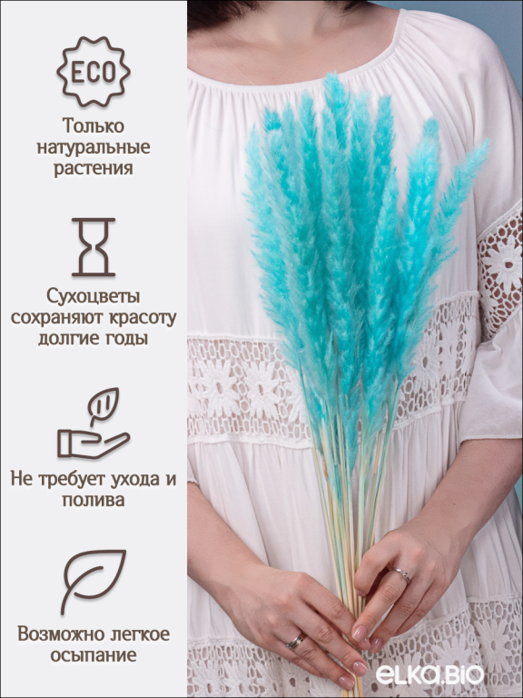 Пампас мини ярко-бирюзовый 15 шт. Высший сорт. Высота 40-50 см. М136