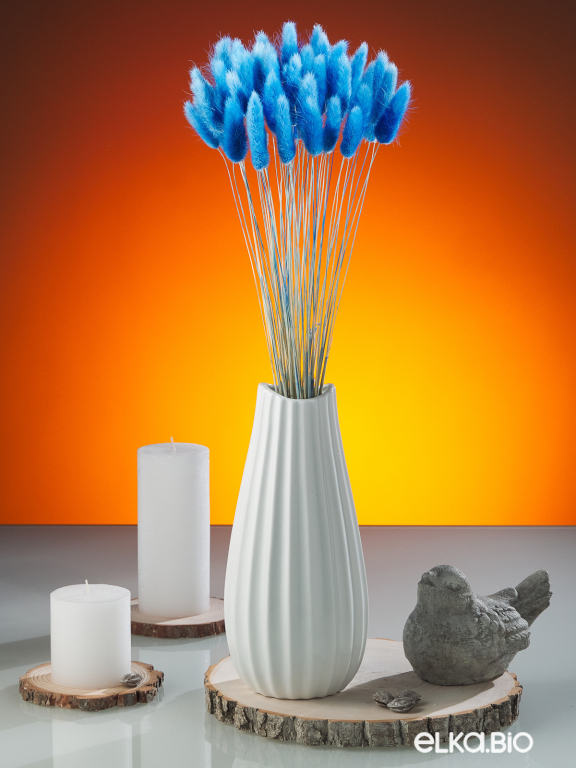 Лагурус синий высший сорт - 60 шт