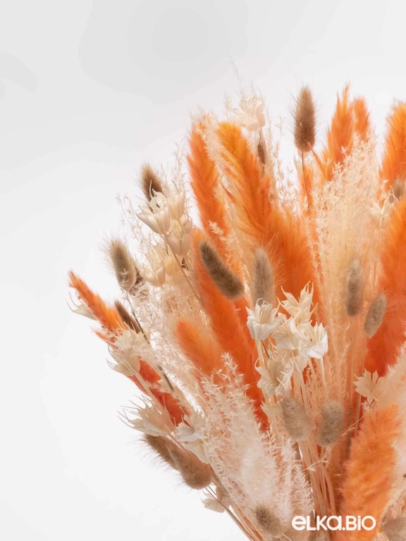 Натуральные сухоцветы для декора. Набор М075