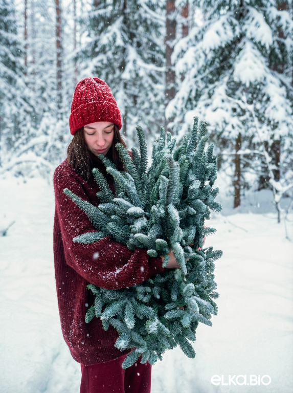 Лапник пихты Нобилис 5 кг