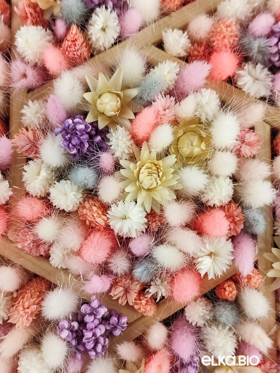 Композиция из лагуруса и фаляриса А130-B103