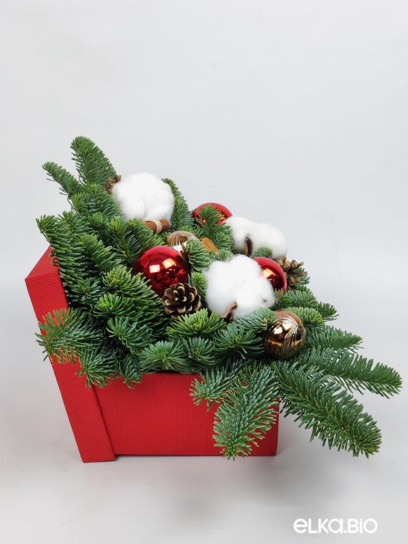 Новогодняя композиция из Нобилиса Новогоднее желание Ю43-В707