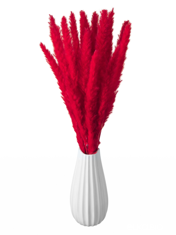 Трава сухоцвет пампас мини 15 шт. высший сорт красный