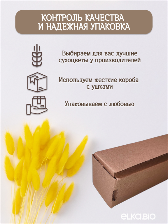 Лагурус желтый 30 шт. Высший сорт. Высота 40-50 см М010