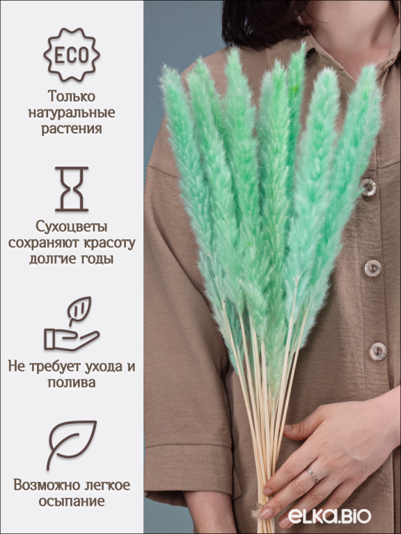 Пампас мини зелёно-бирюзовый 15 шт. Высший сорт. Высота 40-50 см. М133