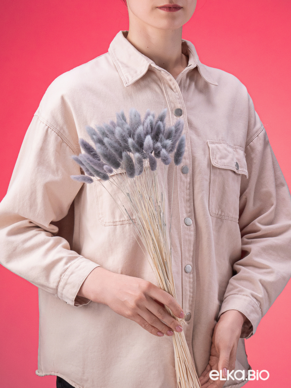 Лагурус серый первый сорт - 300 шт