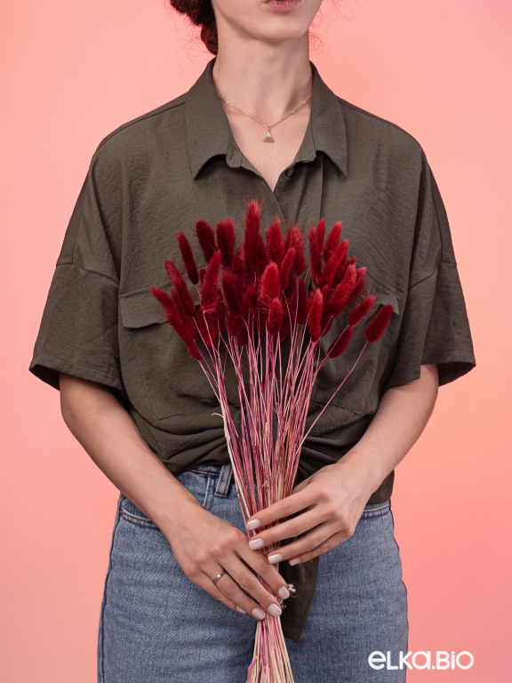 Лагурус бордово-коричневый первый сорт - 300 шт