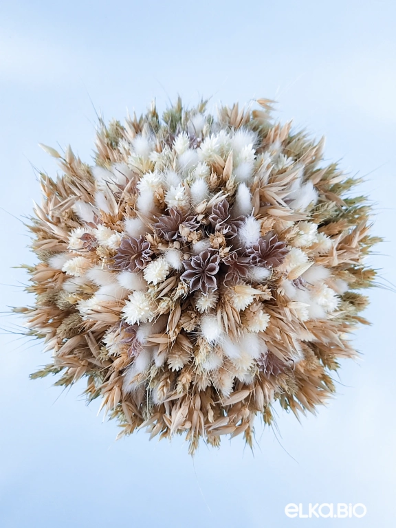 Букет из пшеницы, овса и лагуруса Т182-B109