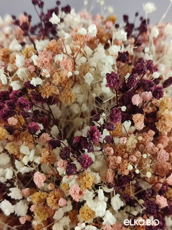 Букет цветов гипсофилы в ведерке Б49-B101