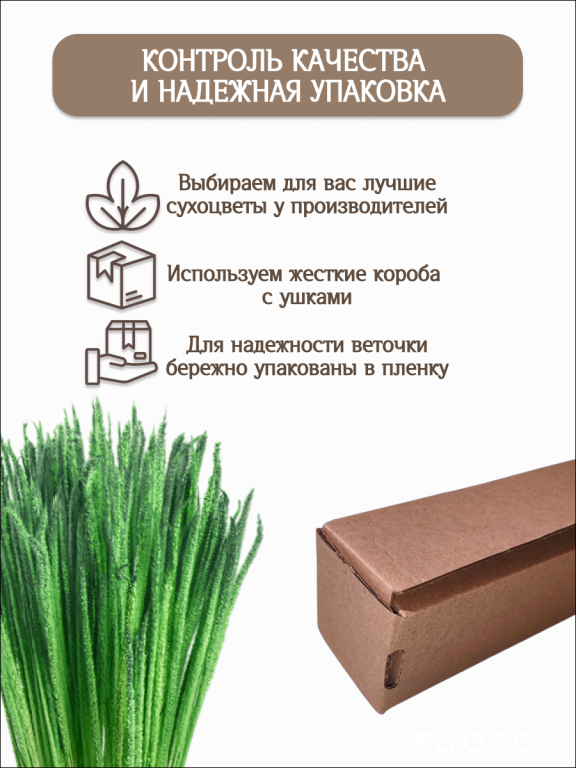 Алопекурус (тимофеевка) ярко-зеленый 150 шт. Высший сорт - до 50 см М730