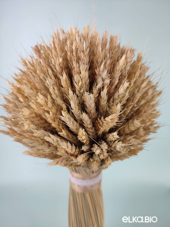 Декоративный сноп пшеницы Б91-B110