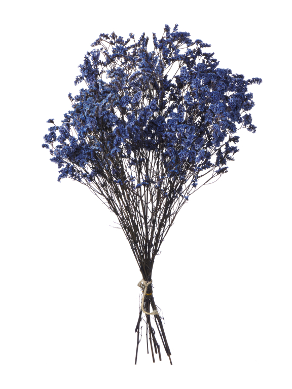 Цветы лимониума синие (80г) М220