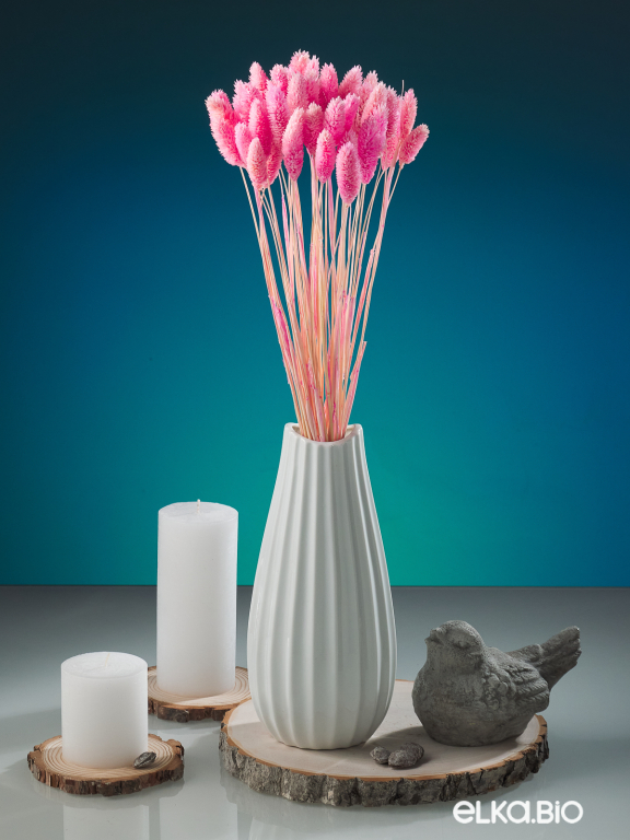 Фалярис светло-розовый (40шт) М112