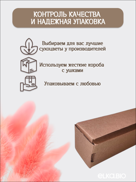 Лагурус розовый 60 шт. Высший сорт. Высота 25-35 см М640