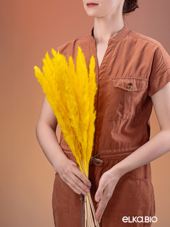 Трава сухоцвет пампас мини 15 шт. ярко-жёлтый высший сорт