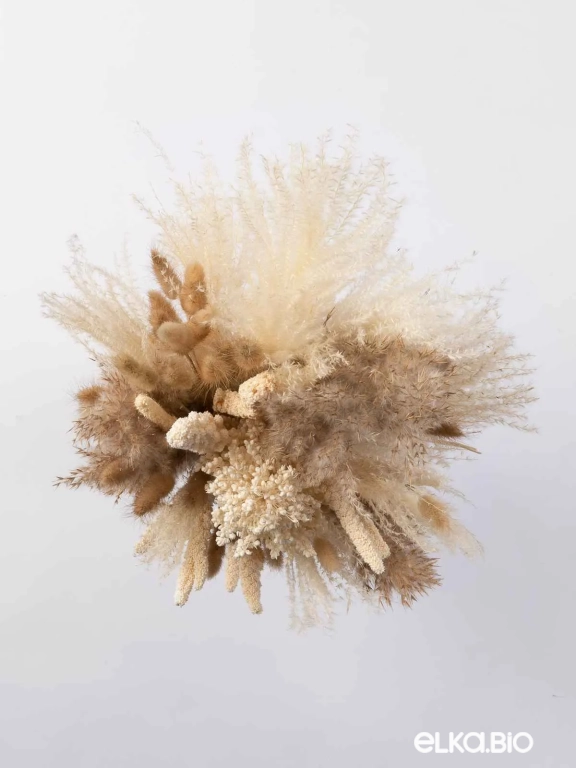 Cухоцветы для декора. Набор М072