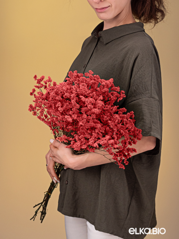 Цветы лимониума красные (80г) М218