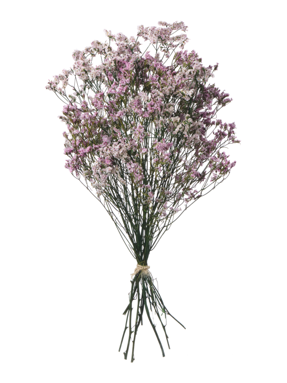 Цветы лимониума сиреневые (80г) М221 Цветы лимониума сиреневые (80г) М221