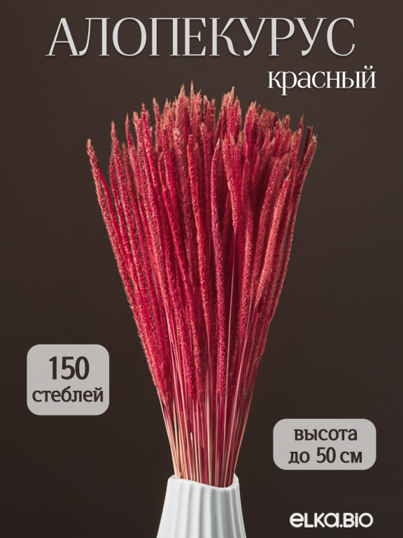 Алопекурус (тимофеевка) красный 150 шт. Высший сорт - до 50 см  М421