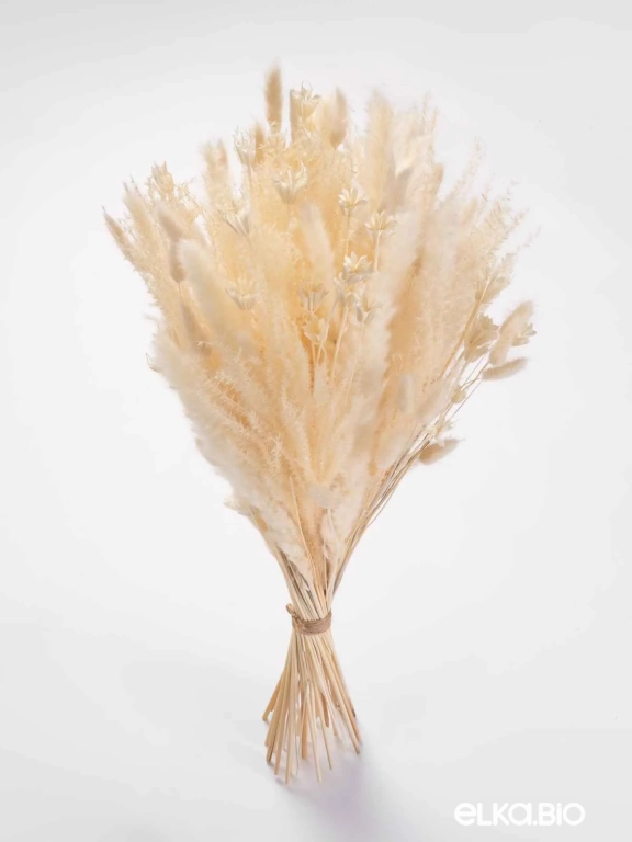 Сухоцветы для декора микс. Набор М073