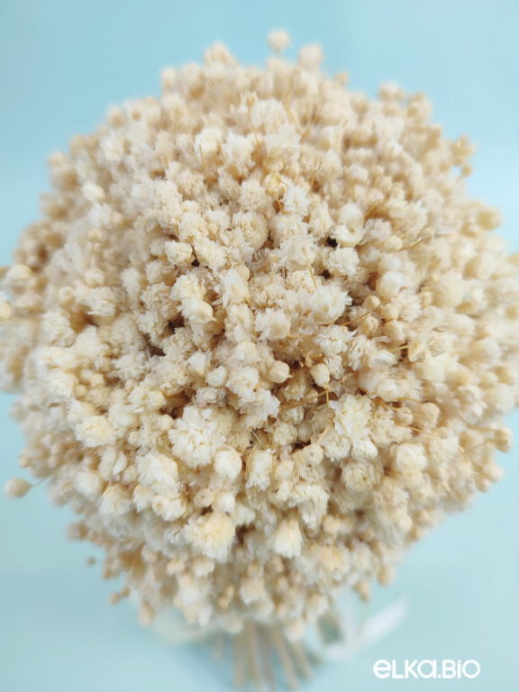 Cтабилизированный маленький букет из белых гипсофил Т252-B114