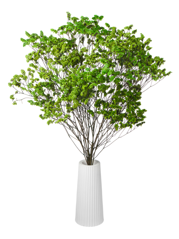 Цветы лимониума зелёные (80г) М217 Цветы лимониума зелёные (80г) М217