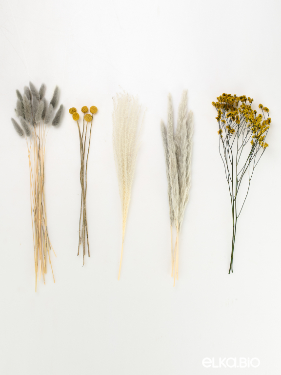 Нежные сухоцветы для декора в наборе М320