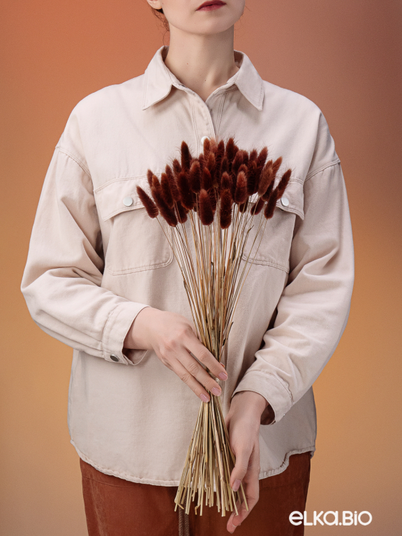 Лагурус коричневый высший сорт - 60 шт