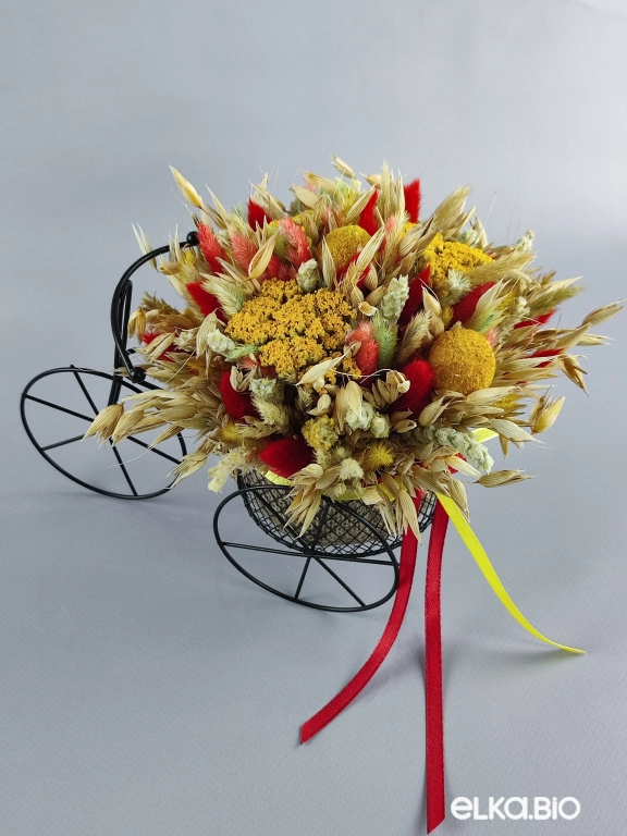 Велосипед с колосками овса и лагурусом Т134-B101