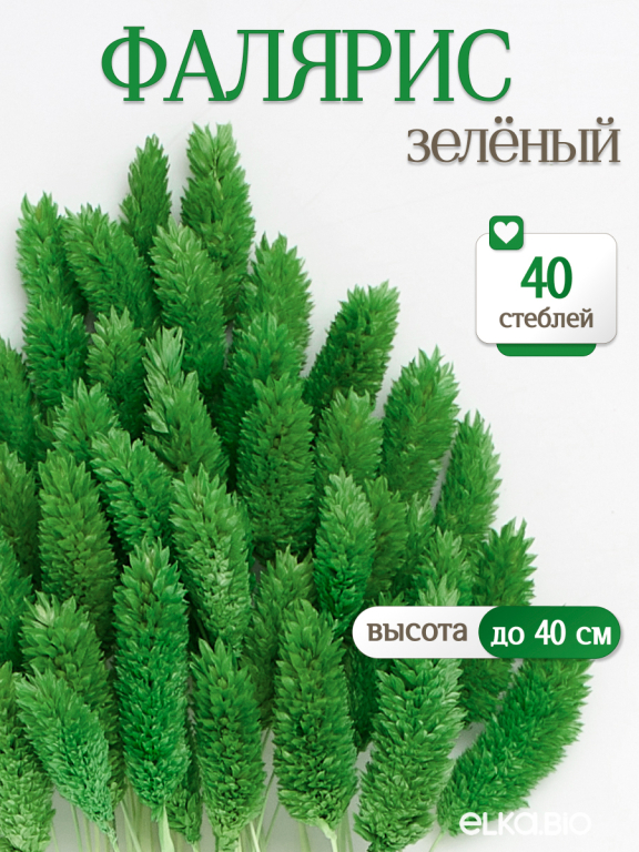 Фалярис зелёный (40шт) М107