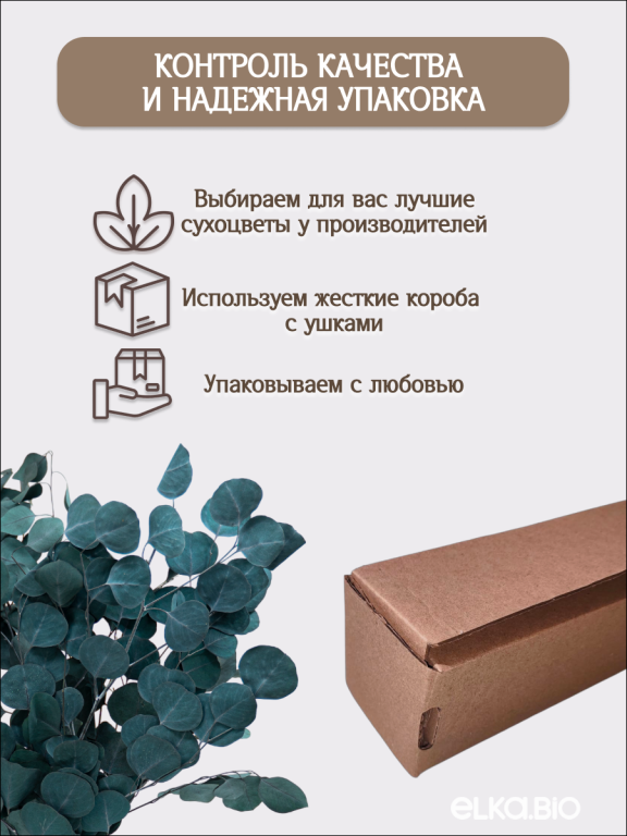 Эвкалипт Популус изумрудный 180г Высший сорт М689