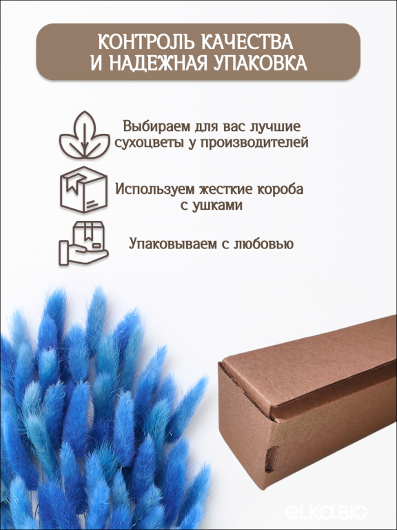 Лагурус синий 60 шт. Высший сорт. Высота 25-35 см М236