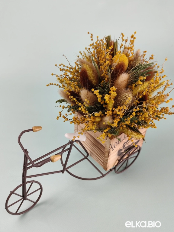 Велосипед с лагурусом и мимозой Т157-B102