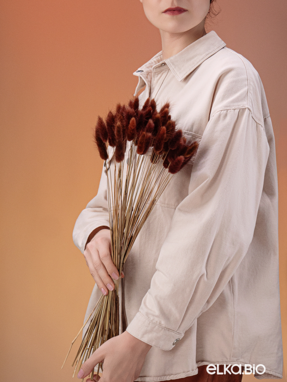 Лагурус коричневый первый сорт - 300 шт