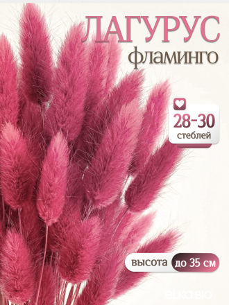 Лагурус фламинго 30 шт. Высший сорт. Высота 25-35 см М708