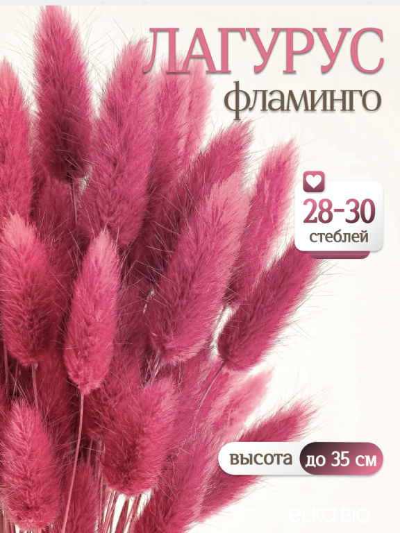 Лагурус фламинго 30 шт. Высший сорт. Высота 25-35 см М708