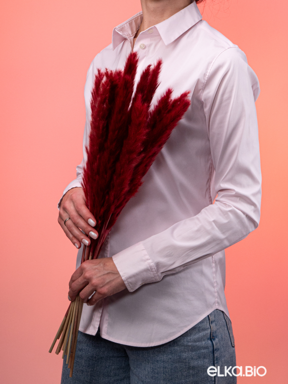 Трава сухоцвет пампас мини 15 шт. бордовый высший сорт