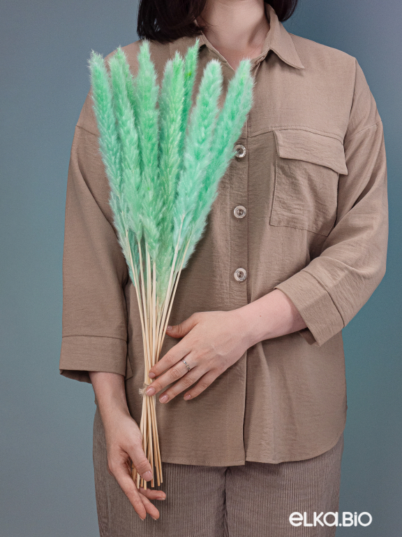 Трава сухоцвет пампас мини 90 шт. зелёно-бирюзовый первый сорт