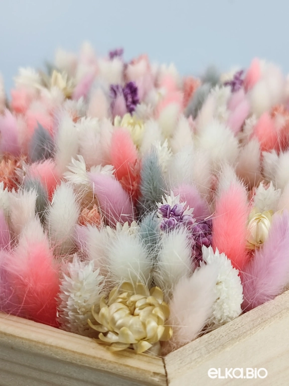 Композиция из лагуруса и фаляриса А130-B103